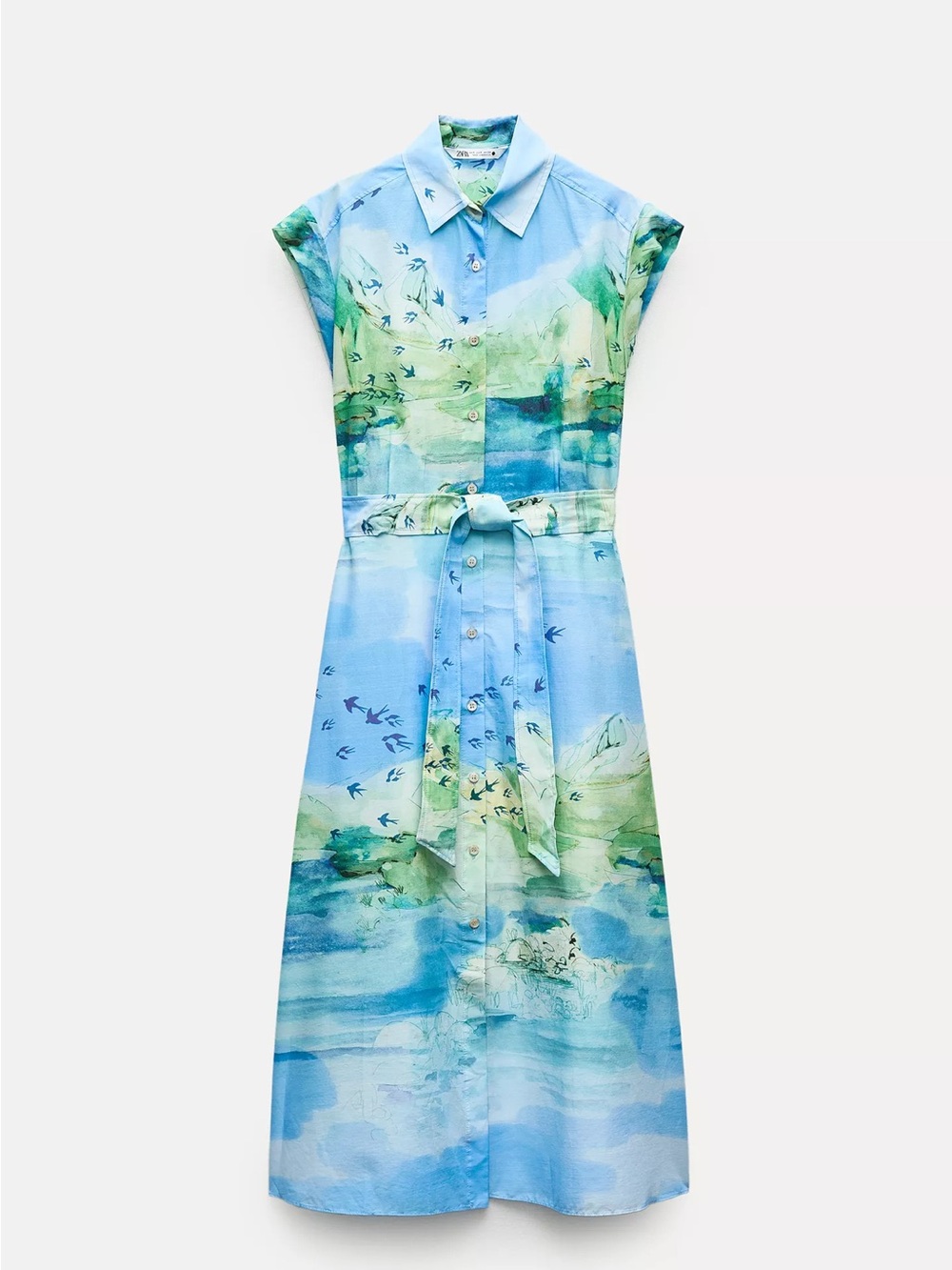 Zara Blue and Green Scenic Maxi Shirt Dress